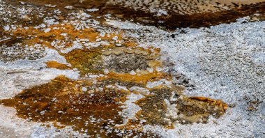 Pompa Gayzerinin Çevresinde, Yukarı Gayzer Havzası, Yellowstone Ulusal Parkı