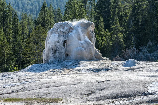 Géiser Estrella Solitaria Parque Nacional Yellowstone — Foto de Stock