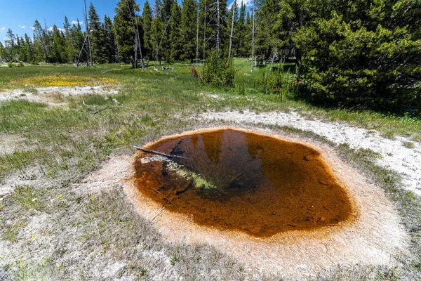 Zona Cuenca Del Geiser Superior Parque Nacional Yellowstone — Foto de Stock