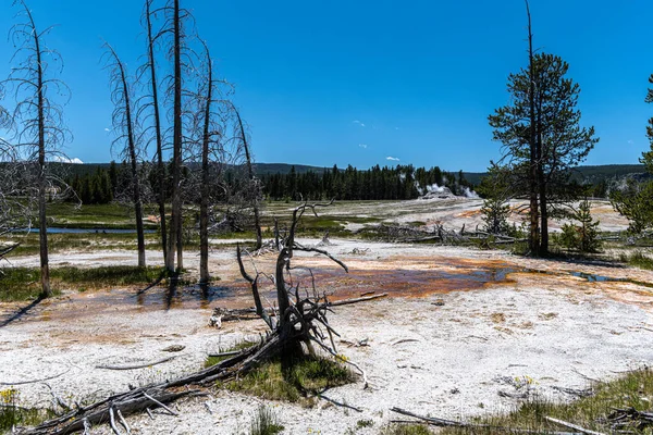 Zona Cuenca Del Geiser Superior Parque Nacional Yellowstone — Foto de Stock