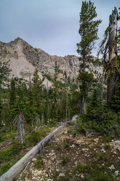 Sawtooth Wilderness Nella Zona Sawtooth Mountain Idaho — Foto Stock