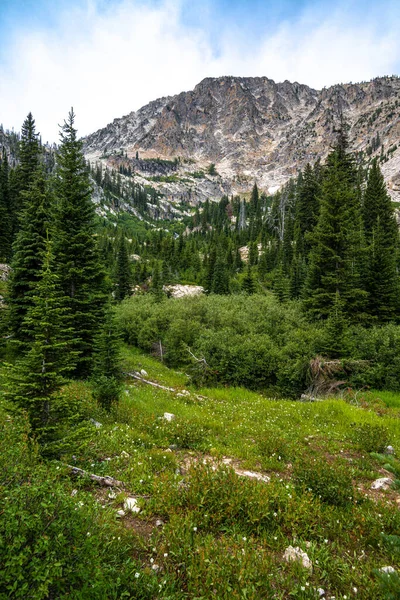 Sawtooth Wilderness Nella Zona Sawtooth Mountain Idaho — Foto Stock