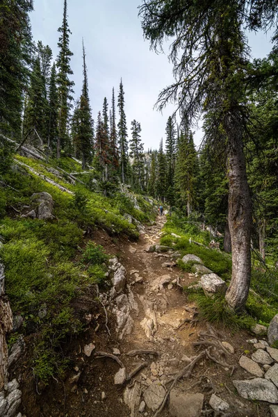 Iron Creek Trail Sawtooth Wilderness Dans Région Sawtooth Mountain Idaho — Photo