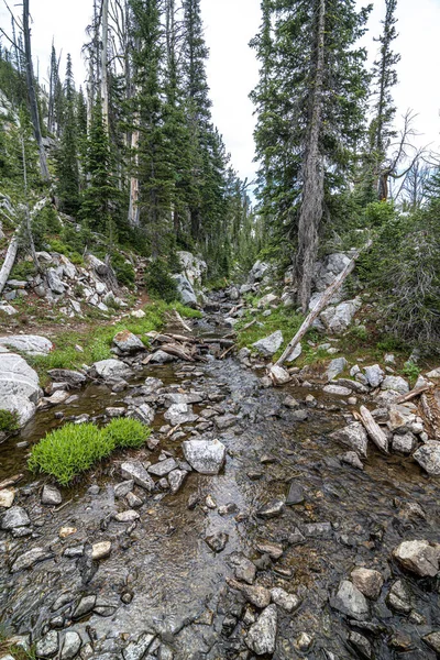 Iron Creek Flyr Från Sawtooth Lake Sawtooth Wilderness Idaho — Stockfoto