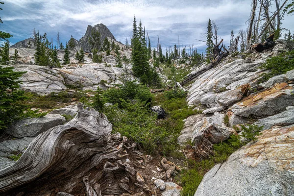 Sågtandad Vildmark Sawtooth Mountain Area Idaho — Stockfoto