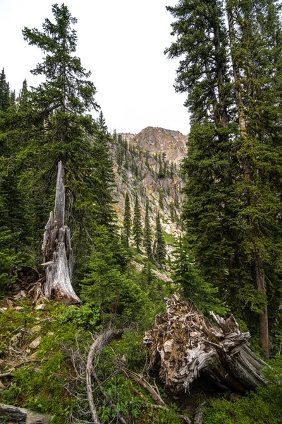 Sawtooth Wilderness Nella Zona Sawtooth Mountain Idaho — Foto Stock