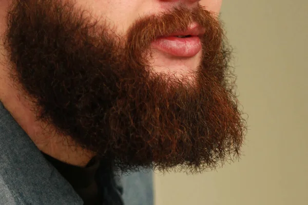 Barba dos homens groomed - cabelo na cabeça, responsável pela experiência — Fotografia de Stock