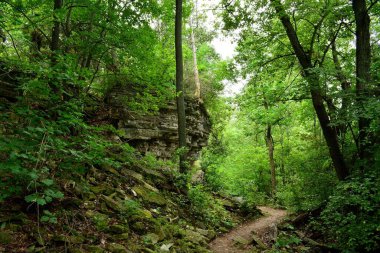 Kireçtaşı boyunca uzanan derin, karanlık uzun bir patika. Door County Wisconsin 'de yazın ortasında. Ormanlık bir bölgede..