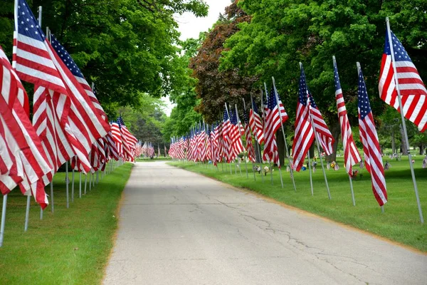 Rows American Flags Set Out Honor American Military Veterans Day — Stock Photo, Image