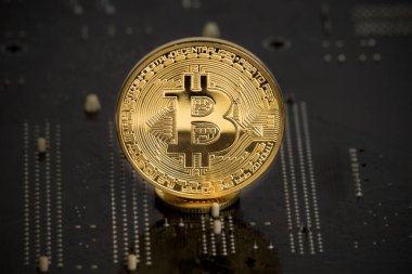 Bilgisayar anakartındaki altın bitcoin. Kripto para madenciliği kavramı.