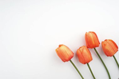 Bahar ya da yaz mevsimi konsepti için yaratıcı çiçek düzenlemeleri. Düz görünüm.