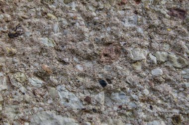 Arka plan bir taş ve kum doku. Deniz kum doku yapılmış kabuk ve taş parçaları