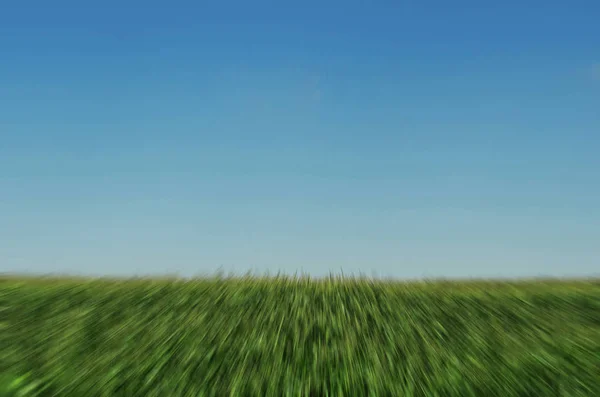 田野与绿色的植被对多云的蓝天 草对天空 运动模糊抽象景观 — 图库照片