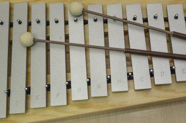 yemek çubukları closeup ile ksilofon