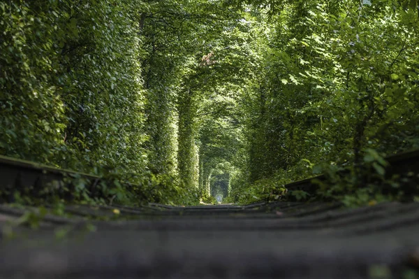 爱的隧道。意外的异常视图 — 图库照片