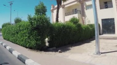 EGYPT, SHARM EL SHEIKH, 30 Ağustos 2015: Mısır 'daki bir araçtan Sharm El Sheikh caddelerinin görüntüsü