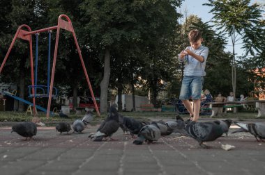 Çocuk parkta güvercinleri besliyor. Bir sürü kuş. Bebek mutlu besliyor aç güvercinleri