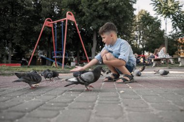 Çocuk parkta güvercinleri besliyor. Bir sürü kuş. Bebek mutlu besliyor aç güvercinleri