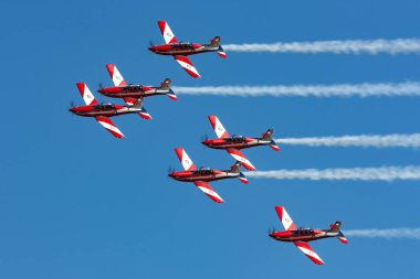 Avalon, Avustralya - 3 Mart 2013: Royal Australian Air Force (RAAF) Roulettes formasyon akrobatik ekran ekibi Pilatus P-9A uçağı. 