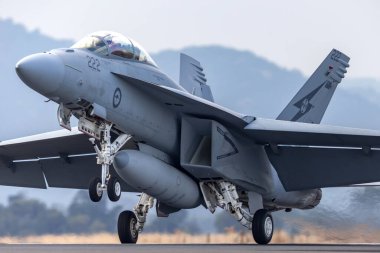 Avalon, Avustralya - 26 Şubat 2013: Royal Australian Air Force (RAAF) Boeing F / A-18F Super Hornet multitirole savaş uçağı A44-222 Queensland, RAAF Amberley 'de konuşlanmıştır..