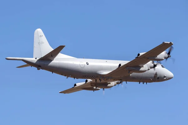 Avalon Ausztrália 2013 Március Royal Australian Air Force Raaf Lockheed — Stock Fotó