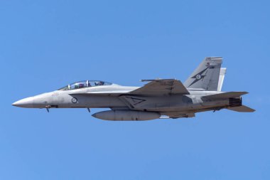 RAAF Williams, Point Cook, Avustralya - 28 Şubat 2014: Royal Australian Air Force (RAAF) Boeing F / A-18F Super Hornet multitirole savaş uçağı A44-215 Queensland, RAAF Amberley merkezli.