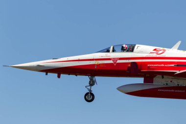 RAF Fairford, Gloucestershire, İngiltere - 10 Temmuz 2014: İsviçre Hava Kuvvetleri gösteri ekibi Patrouille Suisse 'den Northrop F-5E avcı uçağı.