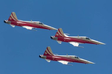 RAF Fairford, Gloucestershire, İngiltere - 10 Temmuz 2014: İsviçre Hava Kuvvetleri Northrop F-5E avcı uçağının Patrouille Suisse oluşum ekibi.
