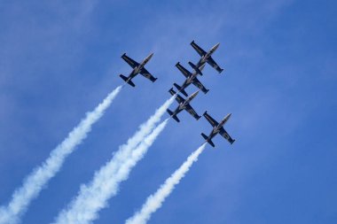 RAF Fairford, Gloucestershire, İngiltere - 11 Temmuz 2014: Breitling Jet Team Aero L-39C Albatros jet antrenör uçağı.