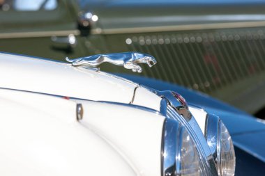 Tyabb, Avustralya - 9 Mart 2014: Klasik bir Jaguar spor arabasının kaputunda Iconic Jaguar sembolü (Sıçrayan Jaguar).
