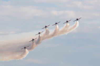 Payerne, İsviçre - 29 Ağustos 2014: İspanyol Hava Kuvvetleri (Ejercito del Aire) CASA C-101EB Aviojet jet eğitim uçağı Patrulla Aguila formasyon akrobatik ekran takımı.