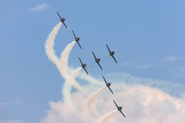Payerne, İsviçre - 7 Eylül 2014: Breitling Jet Takımı Aero L-39C Albatros jet eğitmeni uçakları.