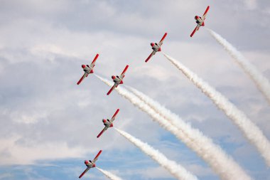 Payerne, İsviçre - 29 Ağustos 2014: İspanyol Hava Kuvvetleri (Ejercito del Aire) CASA C-101EB Aviojet jet eğitim uçağı Patrulla Aguila formasyon akrobatik ekran takımı.