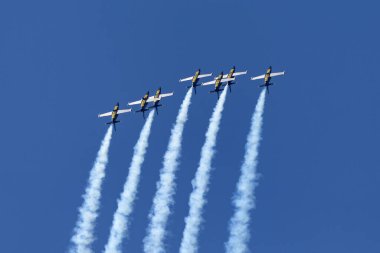 Payerne, Switzerland - September 5, 2014: Breitling Jet Team Aero L-39C Albatross jet trainer aircraft flying in formation.