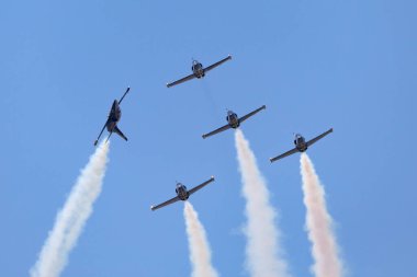 Payerne, Switzerland - September 5, 2014: Breitling Jet Team Aero L-39C Albatross jet trainer aircraft flying in formation.