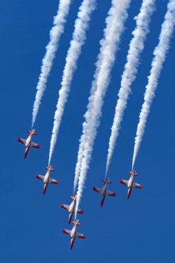 Payerne, Switzerland - August 30, 2014: Spanish Air Force (Ejercito del Aire) CASA C-101EB Aviojet jet trainer aircraft of the Patrulla Aguila formation aerobatic display team.