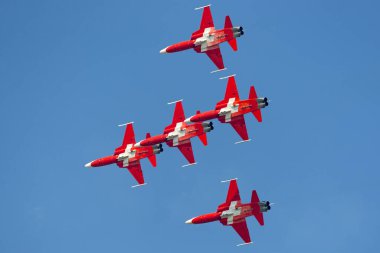 Payerne, İsviçre - 6 Eylül 2014: Patrouille Suisse hava kuvvetleri Northrop F-5E savaş uçağı uçuş ekibi.