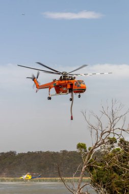 Bundoora, Avustralya - 30 Aralık 2019 Erickson Hava Turnası helikopteri, bir yangınla savaşmak için ağzına kadar su doldurduktan sonra havalandı.