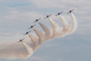 Payerne, İsviçre - 29 Ağustos 2014: İspanyol Hava Kuvvetleri (Ejercito del Aire) CASA C-101EB Aviojet jet eğitim uçağı Patrulla Aguila formasyon akrobatik ekran takımı.