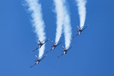 Payerne, Switzerland - September 5, 2014: Breitling Jet Team Aero L-39C Albatross jet trainer aircraft flying in formation.
