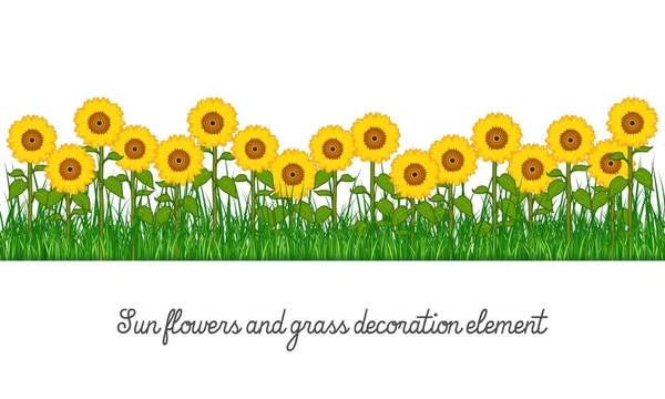 Transparent Sunflowers Borderストックベクター ロイヤリティフリーtransparent Sunflowers Border イラスト Depositphotos