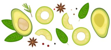 Avokado 'nun besin örnekleri ortadan ikiye bölünmüş ve dilimlenmiş..
