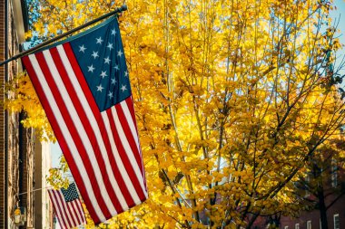 Amerikan hükümeti tarafından 1795 'te onaylanan 15 yıldızlı Amerikan bayrağı..