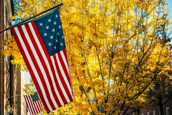 Amerikan hükümeti tarafından 1795 'te onaylanan 15 yıldızlı Amerikan bayrağı..