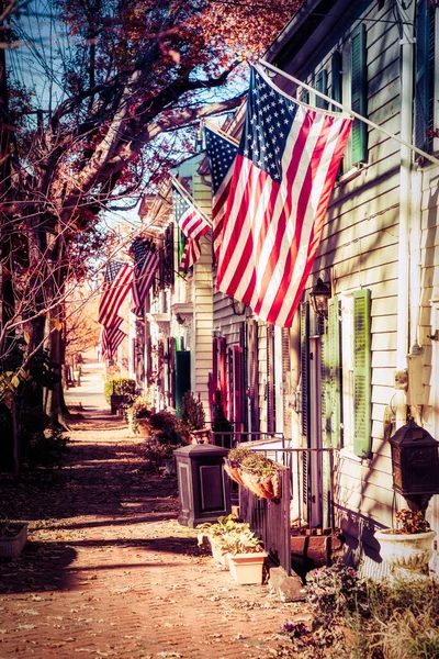Flaggor Viftar Ett Patriotiskt Område Norra Virginia — Stockfoto