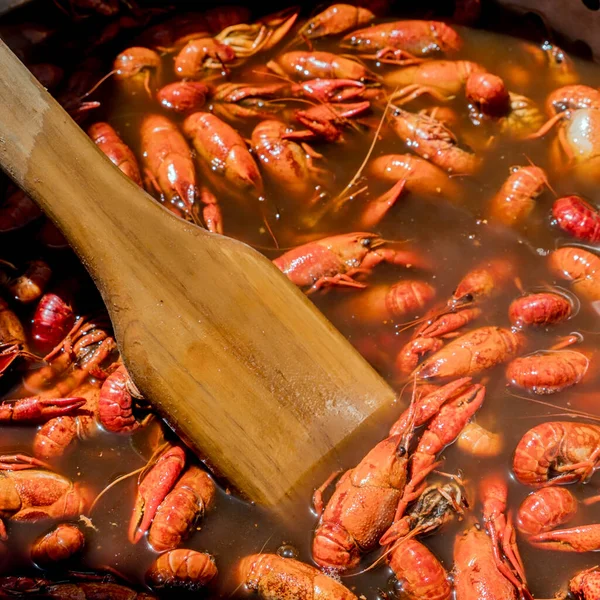 New Orleans Style Crawfish Boil — Stock fotografie