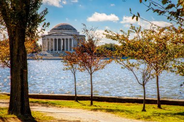 Jefferson Memorial 'ın etrafında renk değiştiren National Mall' da sonbahar..
