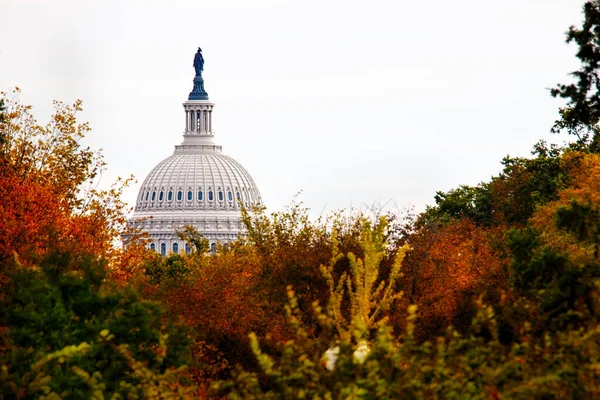 Başkentin Kubbesi Washington Deki Ağaçlarla Örtüldü — Stok fotoğraf