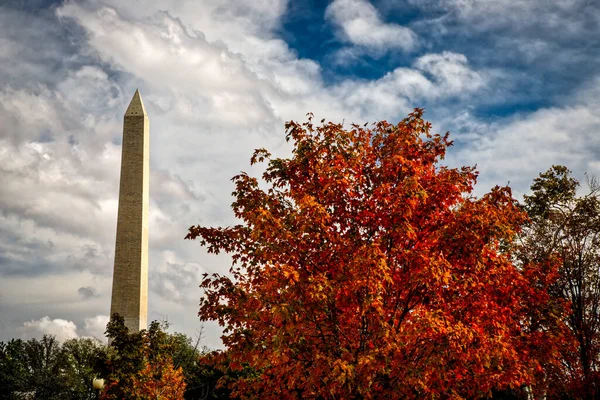 以华盛顿纪念碑为背景的华盛顿秋天的树木 — 图库照片