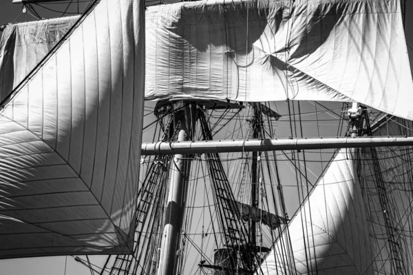 Ship Masts 2015 Festival Sail San Diego — стокове фото